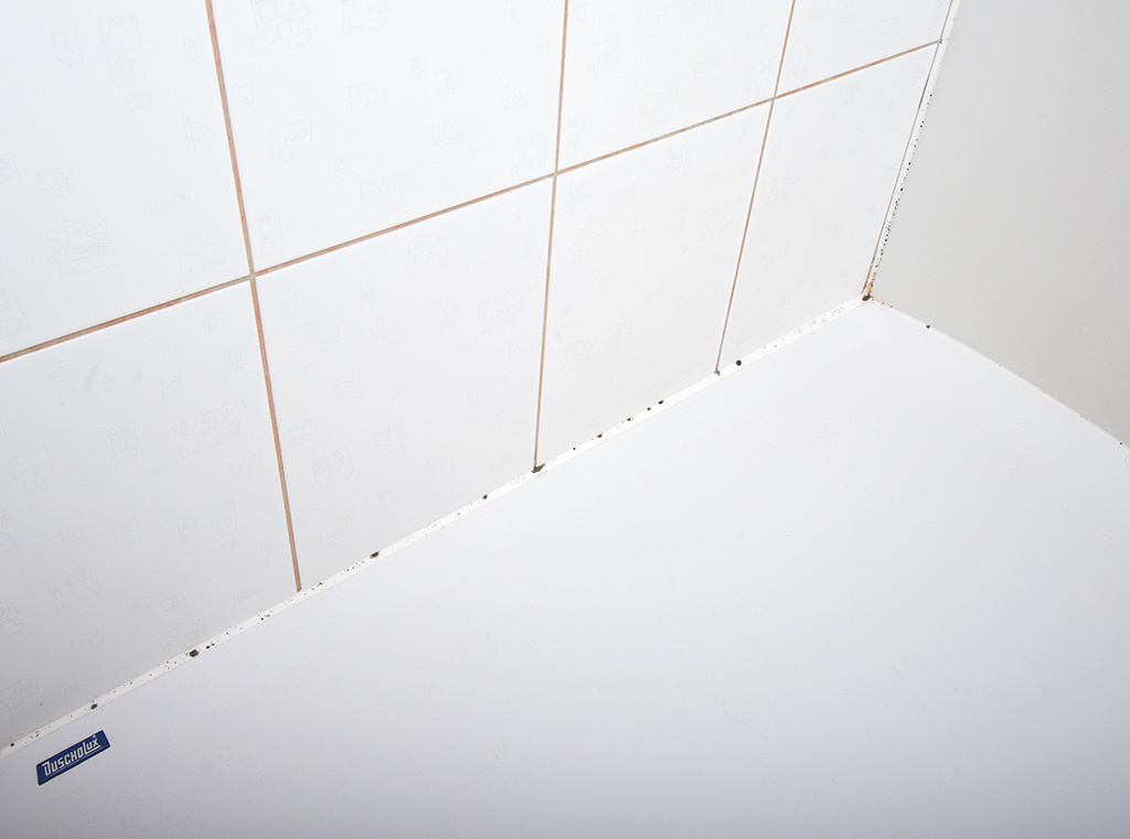 Fliesenprofile für Wand/Boden-Anschlüsse SANISTRIP-SANIFLEX_SANISTRIP_Verlegung_01_Low.jpg