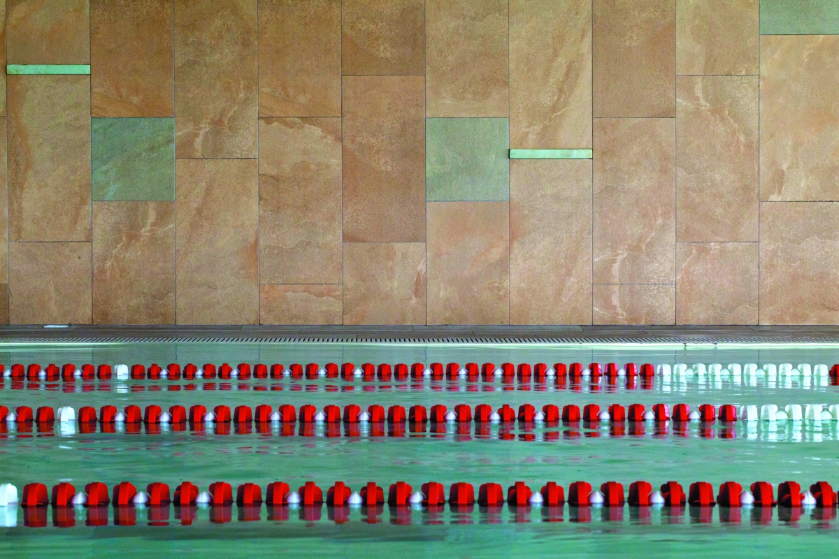 amazzonia_amb_dragon brown.jpg